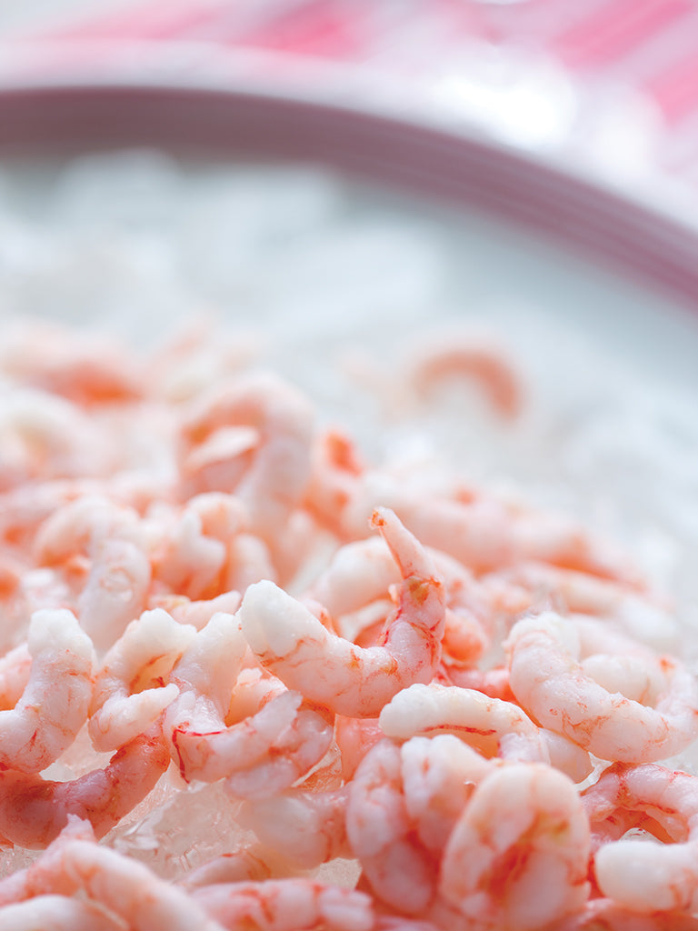 Crevettes Nordiques
